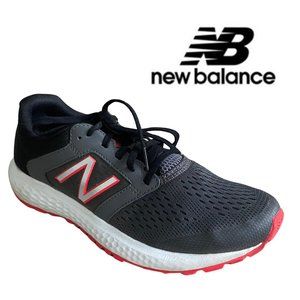 NEW BALANCE Men's 520 V5 Comfort Ride Sneakers